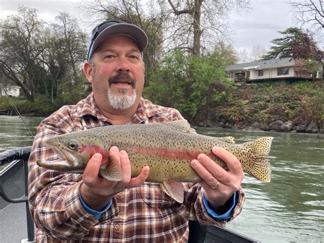 sacramento river fishing reports|Daily Sacramento River Fishing Reports (April 2024).